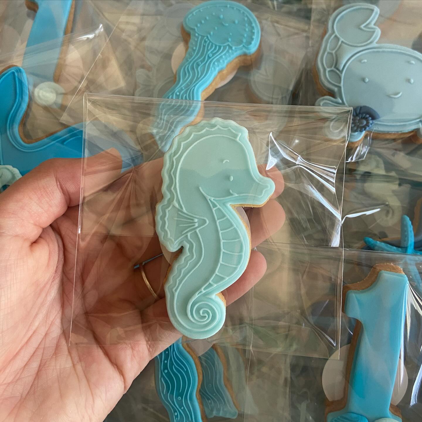 Koek stempel | Fondant embosser | Zeepaardje