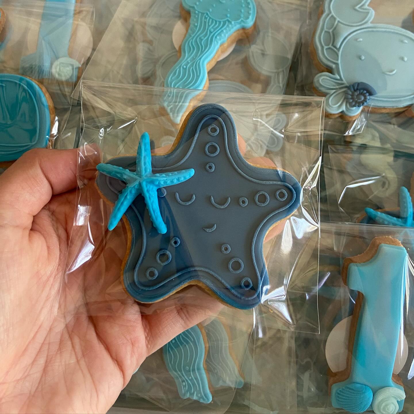 Koek stempel | Fondant embosser |  Zeester