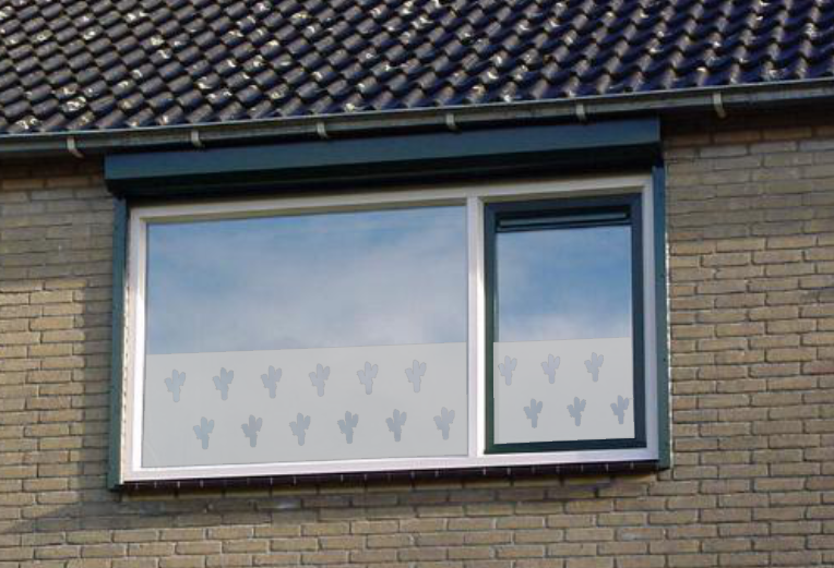 Raamfolie Cactussen