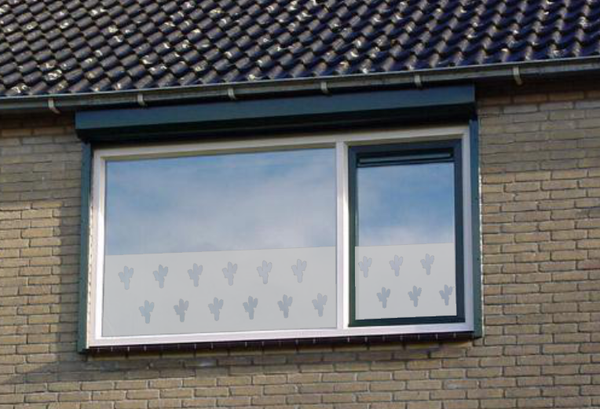 Raamfolie Cactussen