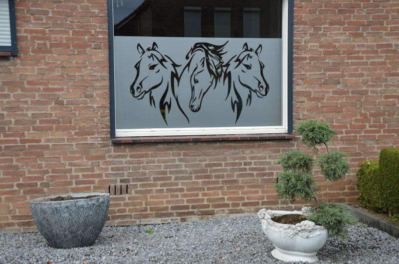 Raamfolie 3 paarden