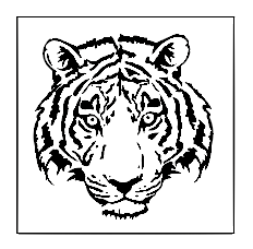 Koek fondant stempel Leeuw