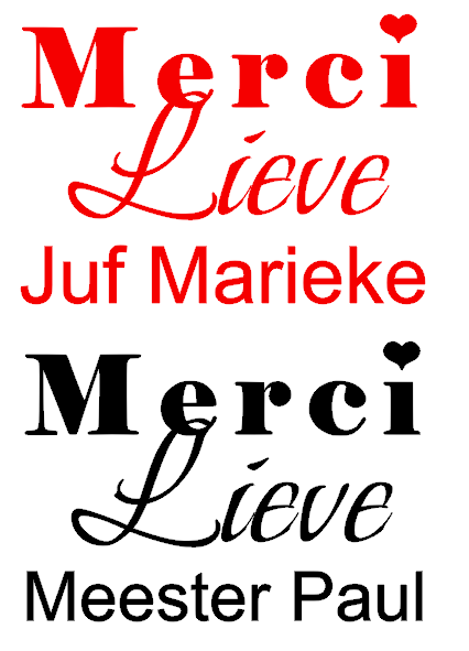 Sticker Merci lieve