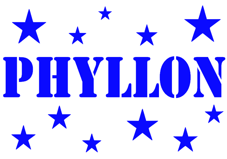 **Sticker Sterren Phyllon