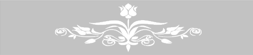 Raamfolie Horizontaal ornament bloem