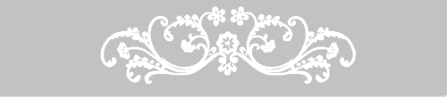 Raamfolie Horizontaal ornament bloemen