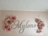 Paper flower set Mylene